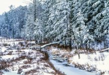 Winter Break in the Granite State