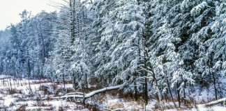 Winter Break in the Granite State