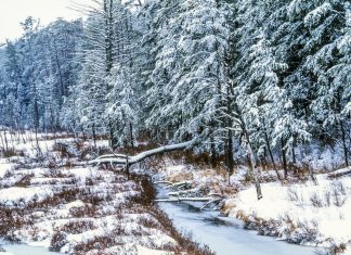 Winter Break in the Granite State