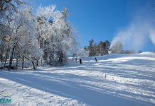 3 Outdoor Spots To Make Your 2 Week Quarantine Fly By