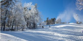 3 Outdoor Spots To Make Your 2 Week Quarantine Fly By