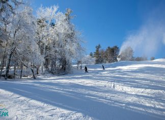 3 Outdoor Spots To Make Your 2 Week Quarantine Fly By