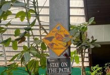 Butterfly Sanctuary – Photo Story