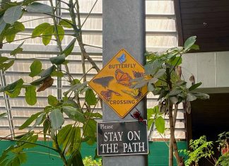 Butterfly Sanctuary – Photo Story