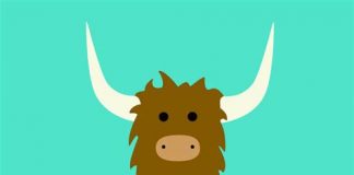 Anonymous App Yik Yak Sparks Controversy at NEC
