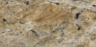 NEC Wellness to host vaccine clinic Tuesday