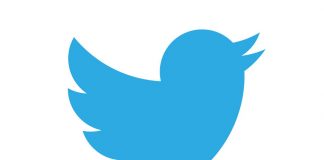 Fake Twitter Employees Pretend to be Laid-Off