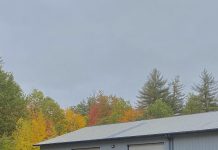 As the leaves change, so do the beers