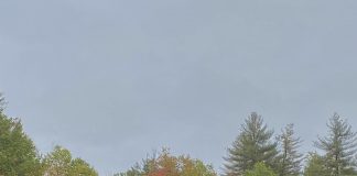 As the leaves change, so do the beers