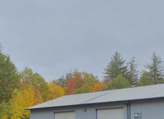 As the leaves change, so do the beers
