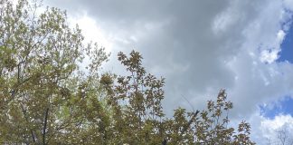 Republican Incumbent Chris Sununu Wins NH Governor’s Race