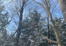 Warmer N.H. Winter Impacting Some Outdoor Activities