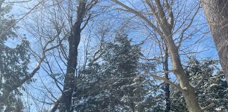 Warmer N.H. Winter Impacting Some Outdoor Activities