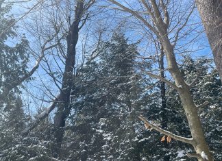 Warmer N.H. Winter Impacting Some Outdoor Activities