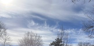 NEC hosts first Holi Festival