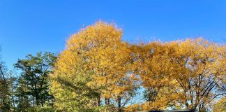 Former New England College President sues NEC for alleged discrimination and emotional distress