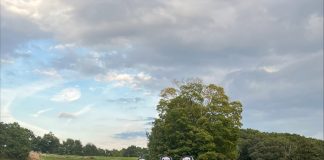 NEC Men’s Golf wins GNAC Championship