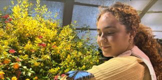 Surrounded by a Butterfly