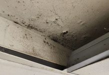 A petition about bathroom conditions