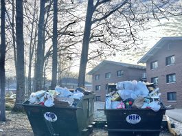 Recycling club could bring focus back to campus sustainability efforts