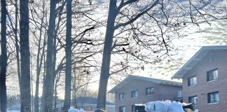 Recycling club could bring focus back to campus sustainability efforts