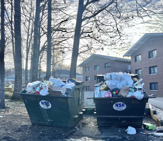 Recycling club could bring focus back to campus sustainability efforts