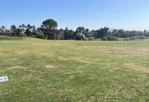 NEC Men’s Golf Set to Go in Las Vegas