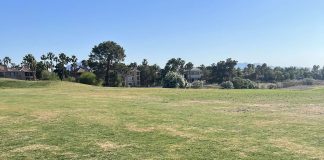 NEC Men’s Golf Set to Go in Las Vegas