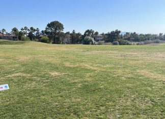 NEC Men’s Golf Set to Go in Las Vegas