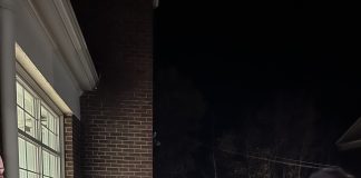 NEC students participate in pumpkin carving night