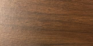 NEC Politics Professor reflects on election, explains next steps