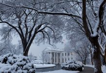 NEC adjunct professor reacts to the Associated Press Oval Office ban