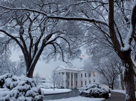 NEC adjunct professor reacts to the Associated Press Oval Office ban
