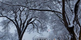 NEC adjunct professor reacts to the Associated Press Oval Office ban