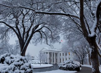 NEC adjunct professor reacts to the Associated Press Oval Office ban