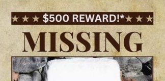 Reward offered for missing Henniker historical marker