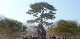 Korean Immersion Trip Day #3 Recap