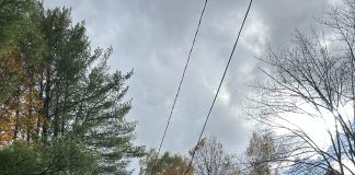 NEC Medical Director explains vaccine mandates and misconceptions