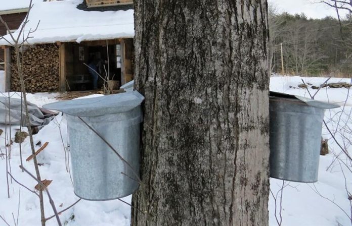 2026031606464697428787