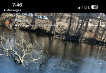 Riverside tree fall cuts off campus rope swing