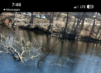 Riverside tree fall cuts off campus rope swing